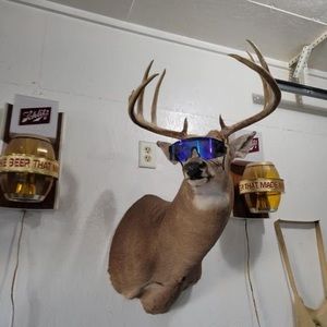 Meet your Posher, Fullsend